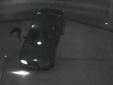 Man-Gate-Crashes-Gate-Iceland