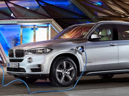BMW-X5-Polar-Bear-Front