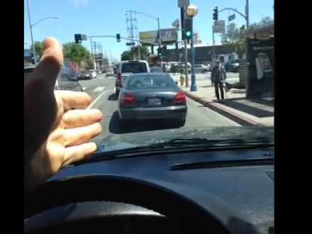 Arnold-Schwarzenegger-Vine