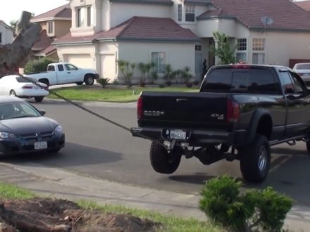 Dodge-Chevy-Pickup-Removing-A-Tree