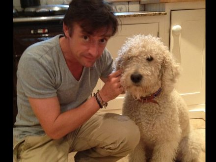 Top-Gear-Dog