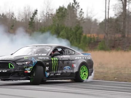 Fjord-Marstang-Gittin-Jr