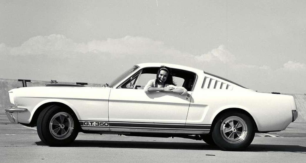 Shelby-GT350-Mustang-B