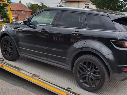 Martine Varrall, speak truth to power, dailycarblog.com