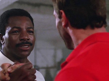 Loyalty, Predator, insurance loyalty, dailycarblog.com