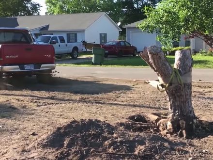 Americans dailycarblog.com