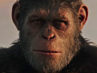 Planet of The Apes - Dailycarblog