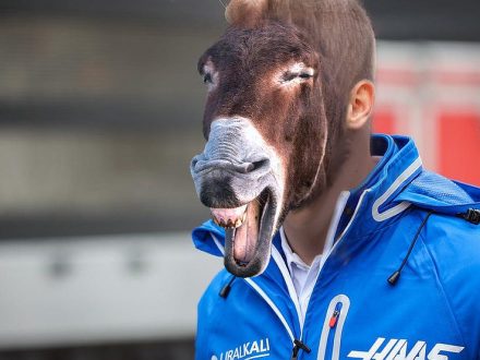 Nikita The donkey Mazepin