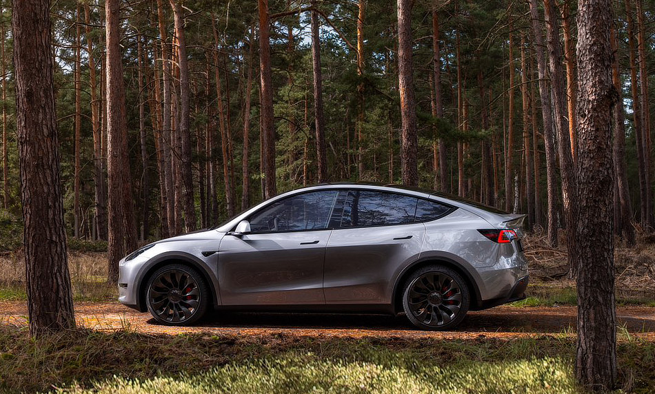 Tesla Model Y in a forest