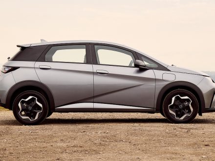 BYD Dolphin - Flippertastic