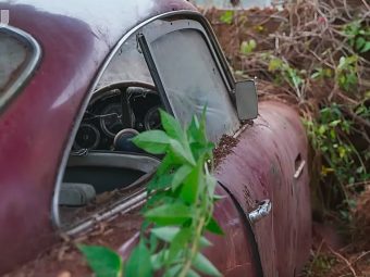 Restoring a rotting Aston Martin DB4 Barn Yard Find