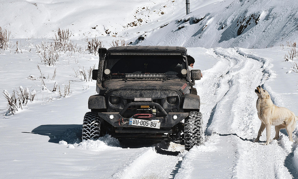 Winter Tires - How To Save More Money