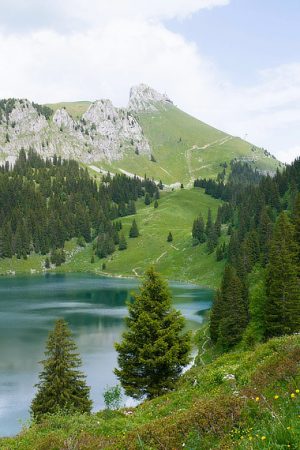 Europe Divided - EU Set To End 2035 Combustion Engine Ban