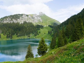 Europe Divided - EU Set To End 2035 Combustion Engine Ban