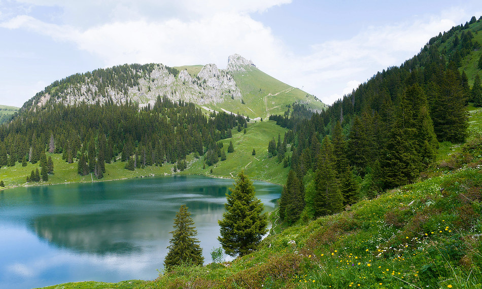 Europe Divided - EU Set To End 2035 Combustion Engine Ban