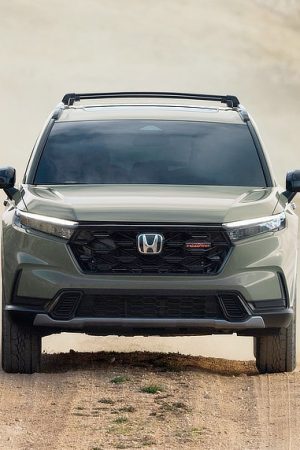 2025 U.S.A. Gas Sales roar back amid EV slowdown