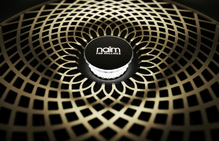 Bentley Naim Audio System - Speaker Grill