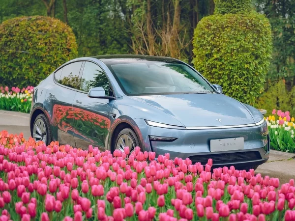 Tesla Model Y - Tulip Edition