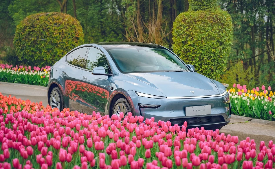 Tesla Model Y - Tulip Edition