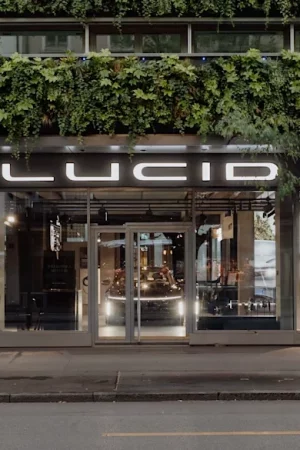 Lucid Retail Store