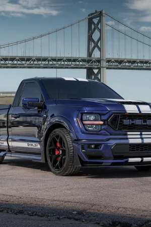 Shelby F-150 Supersnake Sport