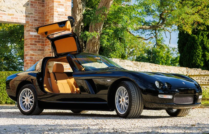 Bristol Fighter - Gullwing