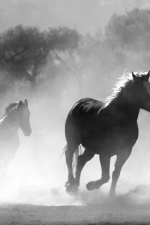 Geely Horse Powertrain