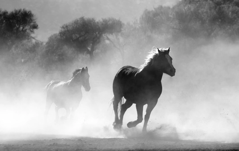 Geely Horse Powertrain