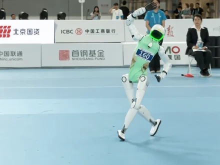 World Humanoid Robot Games - Funny