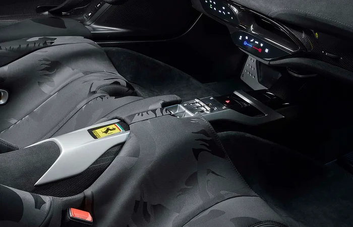 Car Seat covers and interior maintenance - Ferrari - Classic Interior - Camo