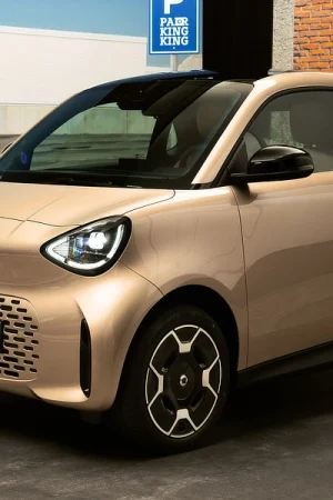 Smart Fortwo Micor Car Nonsense